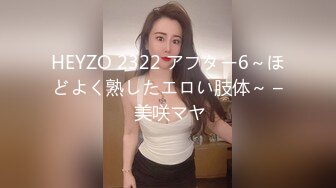 HEYZO 2322 アフター6～ほどよく熟したエロい肢体～ – 美咲マヤ