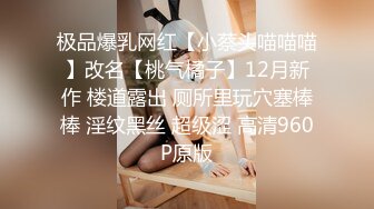 极品爆乳网红【小蔡头喵喵喵】改名【桃气橘子】12月新作 楼道露出 厕所里玩穴塞棒棒 淫纹黑丝 超级涩 高清960P原版