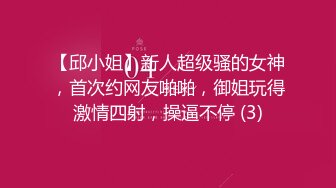 【邱小姐】新人超级骚的女神，首次约网友啪啪，御姐玩得激情四射，操逼不停 (3)