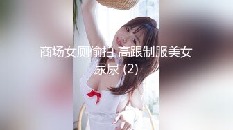 商场女厕偷拍 高跟制服美女尿尿 (2)