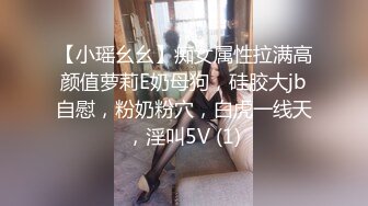 【小瑶幺幺】痴女属性拉满高颜值萝莉E奶母狗，硅胶大jb自慰，粉奶粉穴，白虎一线天，淫叫5V (1)