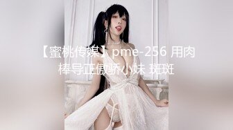 【蜜桃传媒】pme-256 用肉棒导正傲骄小妹 斑斑