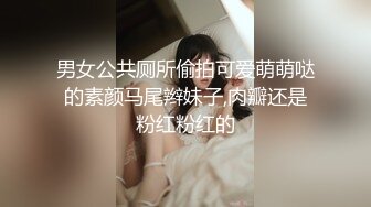 男女公共厕所偷拍可爱萌萌哒的素颜马尾辫妹子,肉瓣还是粉红粉红的