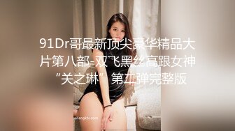 91Dr哥最新顶尖豪华精品大片第八部-双飞黑丝高跟女神“关之琳”第二弹完整版