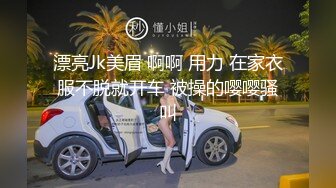 漂亮Jk美眉 啊啊 用力 在家衣服不脱就开车 被操的嘤嘤骚叫