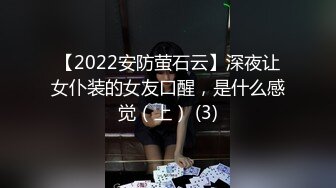 【2022安防萤石云】深夜让女仆装的女友口醒，是什么感觉（上） (3)