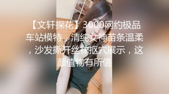 【文轩探花】3000网约极品车站模特，清纯女神苗条温柔，沙发撕开丝袜抠穴展示，这颜值物有所值